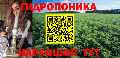 прущие крисы Краснодар