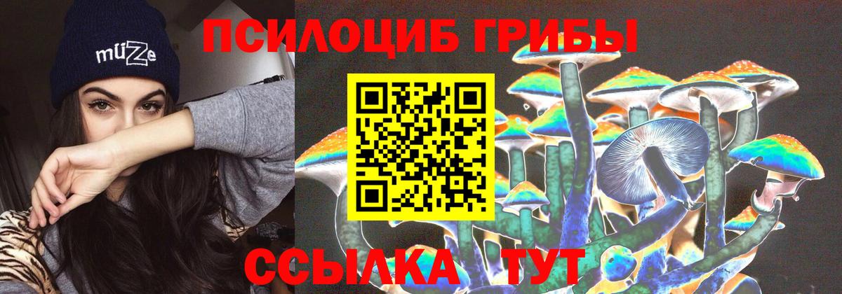 Псилоцибиновые грибы Magic Shrooms  купить наркоту  Долгопрудный  Псилоцибиновые грибы Psilocybine cubensis  Вход с VPN 