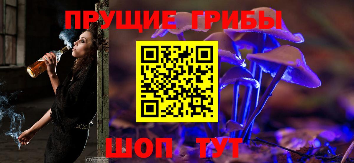 Псилоцибиновые грибы Cubensis Долгопрудный